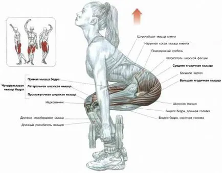 Cum de a construi picioare la fel de repede pompa până fata picioare