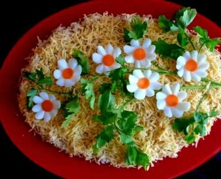 Cum vă aranja salata acasă gustoase - pas cu pas rețete cu fotografii