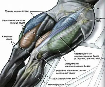 Cum de a construi picioare la fel de repede pompa până fata picioare