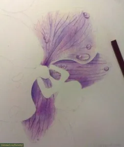 Cum de a desena orhidee creion colorat treptat (desen lecție) Cum de a desena orhidee creioane colorate treptat