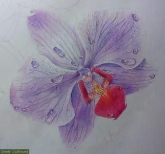 Cum de a desena orhidee creion colorat treptat (desen lecție) Cum de a desena orhidee creioane colorate treptat
