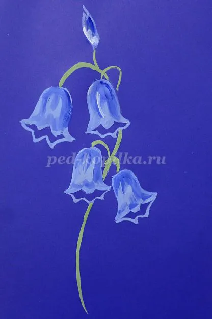 Cum de a desena un clopote de flori etape (remiză) Cum de a desena un clopote de flori etape