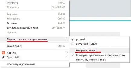 Cum se configurează corectarea erorilor în browser, Google Chrome, Opera (# # PC) Cum se configurează corectarea erorilor în browser, Google Chrome, Opera