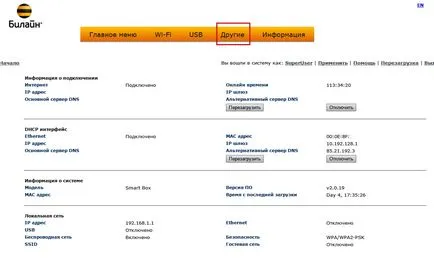 Cum se configurează Internet la Beeline, setările manuale (Internet) Cum se configurează Internet la Beeline, setările manuale