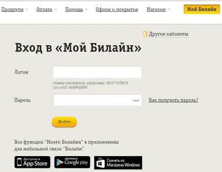 Cum se configurează Internet la Beeline, setările manuale (Setări) Cum se configurează Internet la Beeline, setările manuale