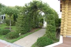 Cum de a ridica zona suburbană cu mâinile lor infrumusetarea zonei (video) (de vacanță) Cum de a ridica zona suburbană cu mâinile lor infrumusetarea zonei (video)