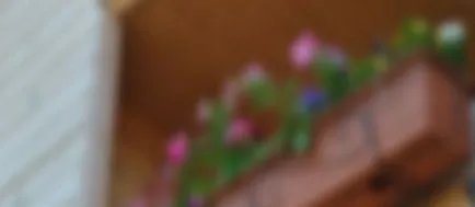 Cum de a decora un balcon cu flori - flori pe balcon (foto) (balcon) Cum de a decora un balcon cu flori - flori pe balcon (foto)
