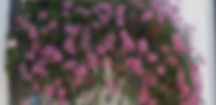 Cum de a decora un balcon cu flori - flori pe balcon (foto) (balcon) Cum de a decora un balcon cu flori - flori pe balcon (foto)
