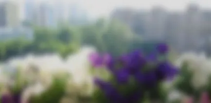 Cum de a decora un balcon cu flori - flori pe balcon (fotografie) (modul de a decora un balcon cu flori) Cum de a decora un balcon cu flori - flori pe balcon (foto)