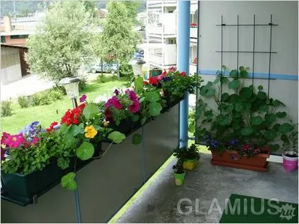 Cum de a decora un balcon cu flori - flori pe balcon (foto) (balcon) Cum de a decora un balcon cu flori - flori pe balcon (foto)