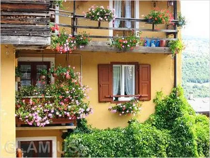 Cum de a decora un balcon cu flori - flori pe balcon (fotografie) (modul de a decora un balcon cu flori) Cum de a decora un balcon cu flori - flori pe balcon (foto)