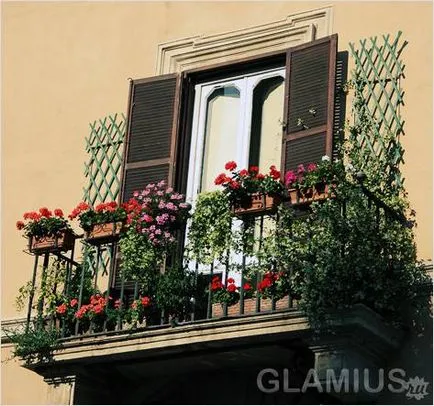 Cum de a decora un balcon cu flori - flori pe balcon (foto) (flori) Cum de a decora un balcon cu flori - flori pe balcon (foto)