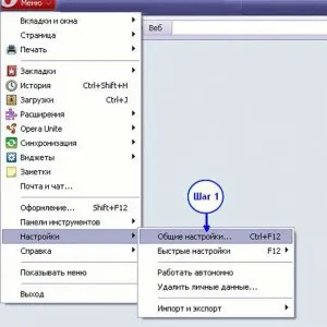 Cum se dezactivează actualizarea în operă (opera) (opera) Cum se dezactivează actualizarea în operă (opera)