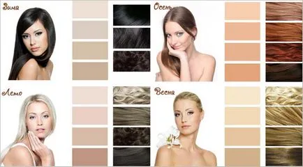 Cum de a determina sfaturi de păr de culoare și recomandări (păr) Cum de a determina sfaturi de culoare de păr și recomandări