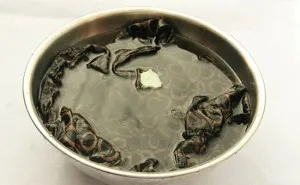 Cum să se spele guma de haine - pete (gumă) Cum să se spele guma de haine - derivă pete