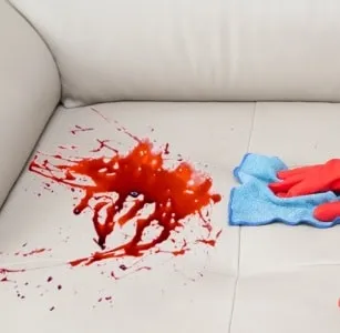 Cum se curata o canapea de 6-eficiente metode simple și, video