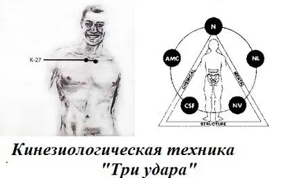 Cum de a opri bolnav tehnica kinesiologia „3 grevă“