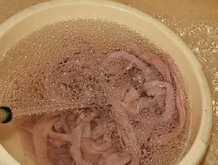 Cum pentru a curăța colon pentru cârnați de casă (rect) vezică urinară Cum pentru a curăța colon pentru cârnați de casă