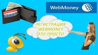 Cum să obțineți un certificat formal WebMoney (formal) Cum să obțineți un certificat oficial WebMoney