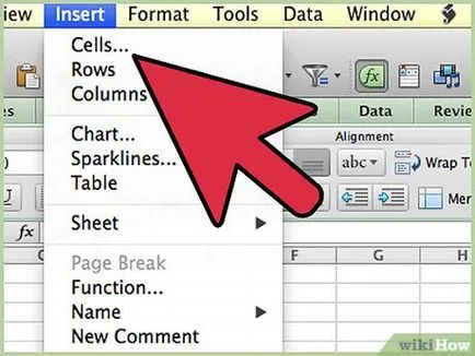 Cum să utilizați Excel 2007