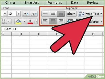 Cum să utilizați Excel 2007