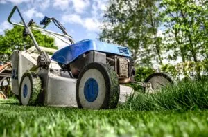 Cum de a planta un gazon cu propriile sale mâini sfaturi și trucuri