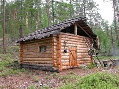 Cum de a construi o cabină în pădure