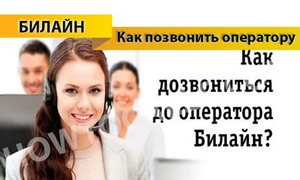 Cum de a apela Beeline operatorului - suport operatorului numerele de telefon Beeline