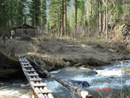 Cum de a construi o cabină în pădure
