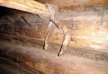 Cum să stea o potcoavă deasupra ușii să stea așa cum ar trebui să stea, care a ajuns la casa,