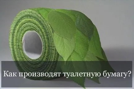 Cum de a face hârtie igienică (hârtie) Cum de a face hârtie igienică