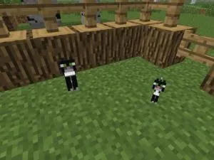 Cum de a crește animale în Minecraft