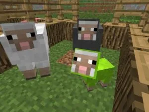 Cum de a crește animale în Minecraft