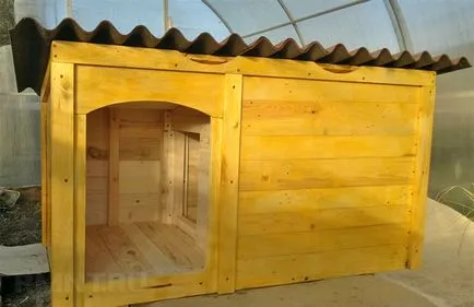 Cum sa faci o cușcă pentru câine cu propriile sale mâini