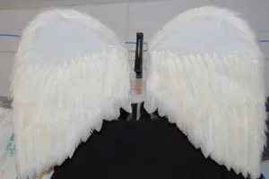Cum sa faci aripi de înger