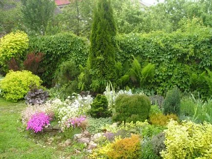Cum sa faci un pat cu mâinile fotografie de paturi de flori și tehnologie de plantare