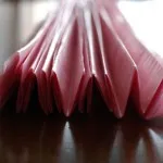 Cum de a face POM-poms cu mâinile lor din hârtie, fire și alte materiale (mâini) Cum de a face POM-poms cu mâinile lor din hârtie, fire și alte materiale