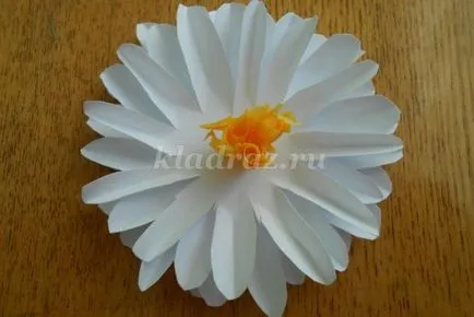 Cum de a face o margaretă de hârtie cu mâinile în etape, cu pozele pentru începători (lor) Cum de a face o margaretă de hârtie cu mâinile în etape, cu fotografii pentru începători