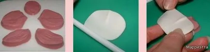 Cum de a face flori din mastic