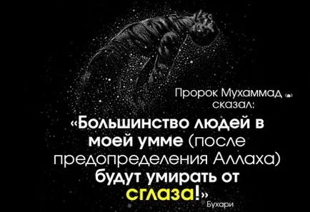 Cum de a trata pe cei care insultă islamul (ostilitate) Cum de a trata pe cei care insultă islamul