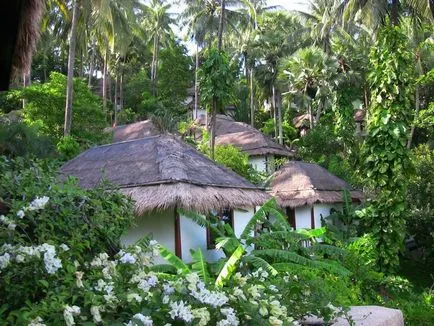 Cum de a închiria un bungalou în Phuket - Walkthrough