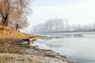 Анорексия при котки