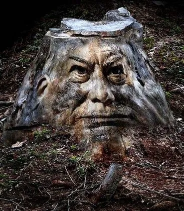 Cum să taie în jos, pe porțiunea de copac - este diferit pentru casa si gradina