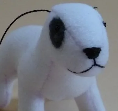 Cum să coase un câine