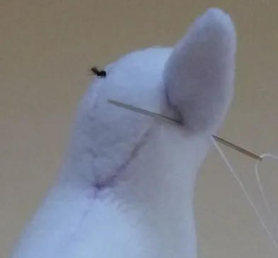 Cum să coase un câine