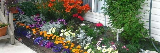 Cum de a crea un design peisagistic - paturi de flori din gradina video (proiectare) Cum de a crea un design peisagistic - paturi de flori în videoclip gradina