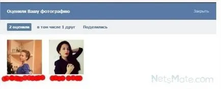 Cum să eliminați Huskies cu o descriere detaliată a fotografiei VKontakte