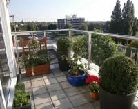 Cum de a decora un balcon cu flori, 16 poze cu aranjamente florale, recomandări pentru cultivarea de iarnă