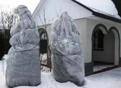 Ca a cincea adăpost pentru iarnă
