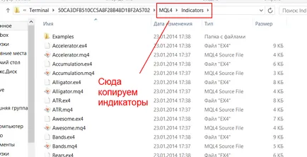 Cum se setează indicatorul în MetaTrader 4 (indicatori) Cum se setează indicatorul în MetaTrader 4